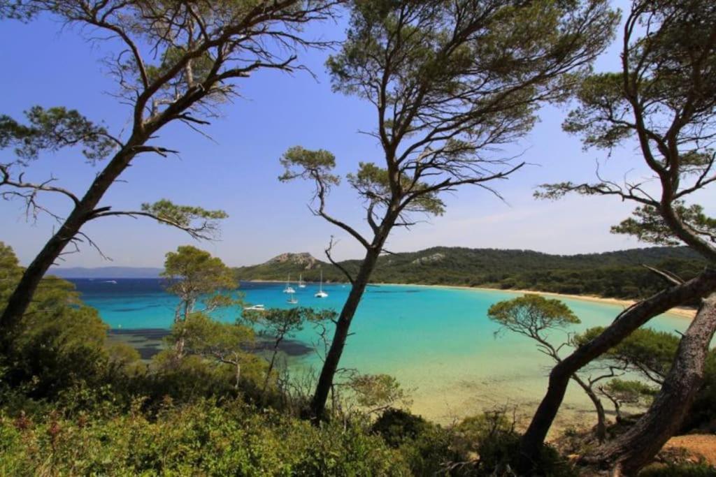 Lovely Flat In The Heart Of The Medieval City Hyeres Luaran gambar